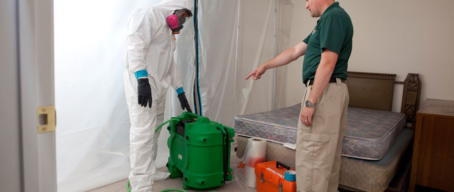 Plano, TX mold removal process